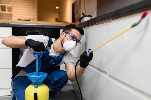 Best Local Pest Control Services  in Nazareth College, NY