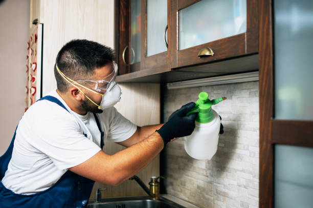 Best Pest Control Near Me in Nazareth College, NY