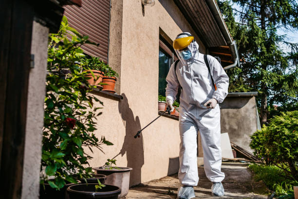 Professional Pest Control in Nazareth College, NY