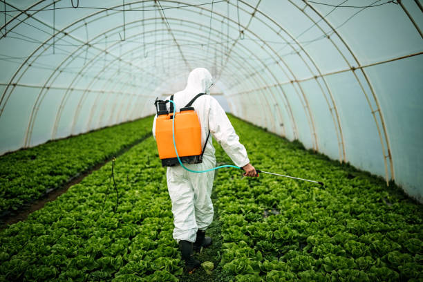 Best Best Pest Control Near Me  in Nazareth College, NY