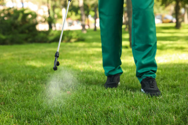 Best Exterminator Services  in Nazareth College, NY