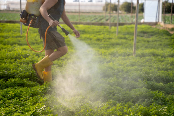 Best Mosquito Control Services  in Nazareth College, NY