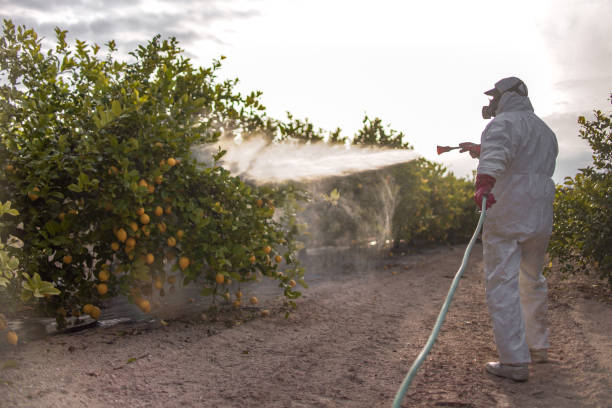 Best Pest Inspection Near Me  in Nazareth College, NY
