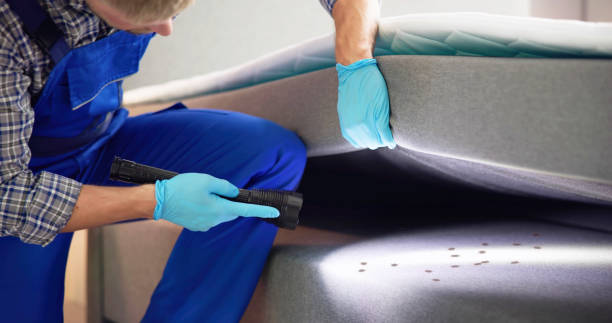 Flea Control Services in Nazareth College, NY