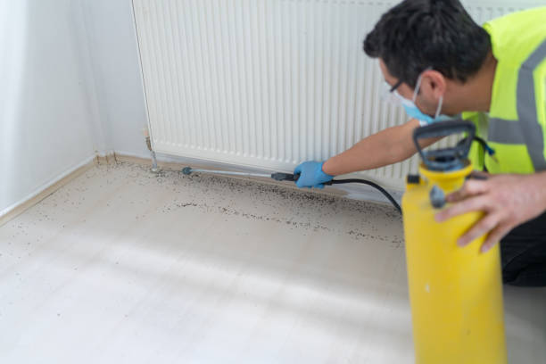 Best Termite Control Services  in Nazareth College, NY